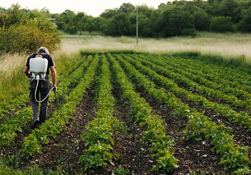 Farm, Agro & Plantation